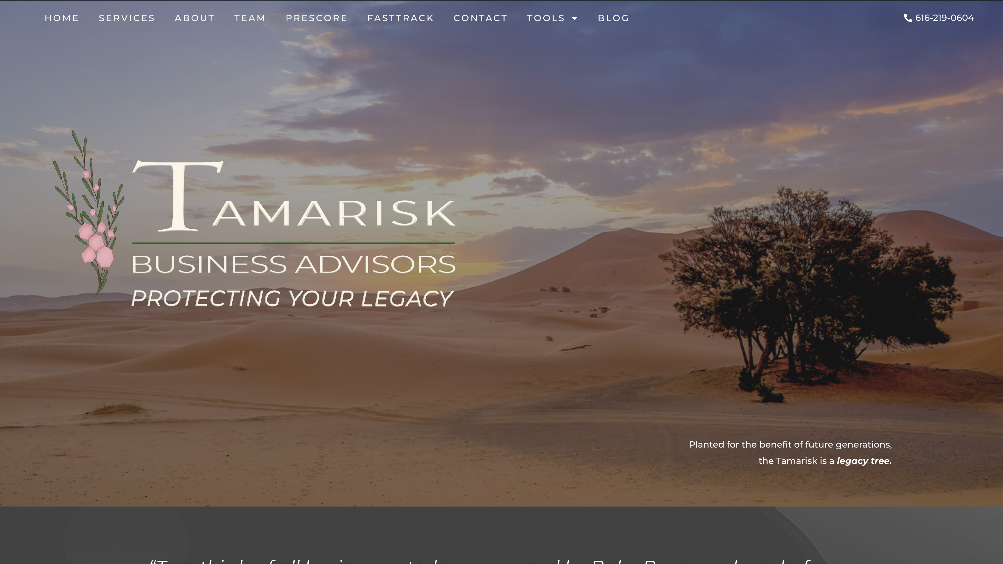 Tamarisk Business Advisors